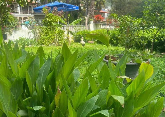 아파트호텔 Nova Aparts